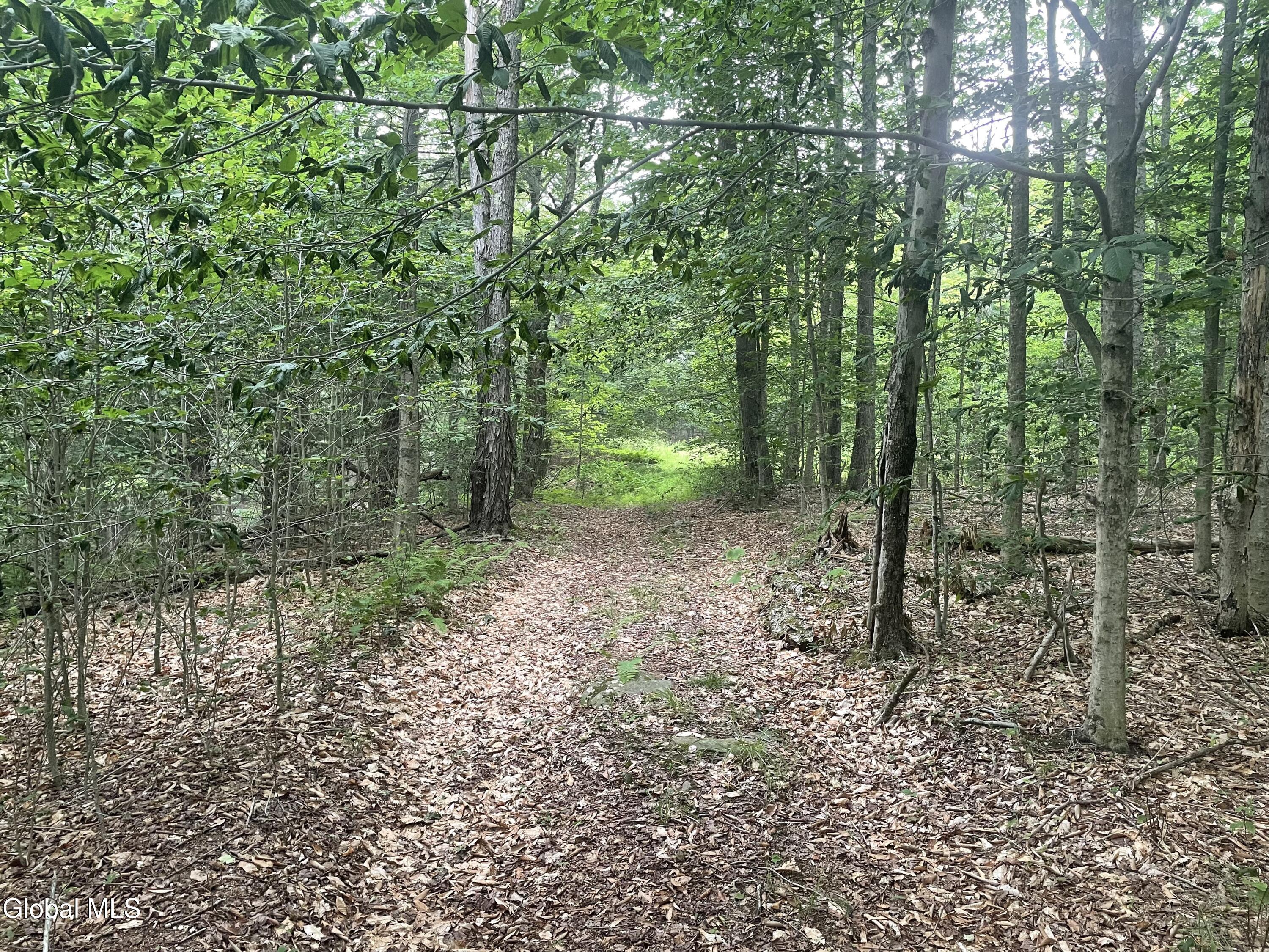 Lot 21.14 Old Town Way Stephentown NY 12168