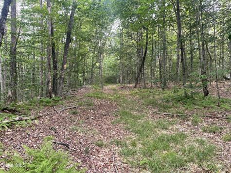 Lot 21.14 Old Town Way Stephentown NY 12168
