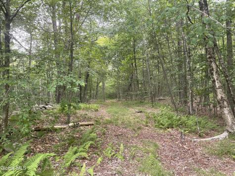 Lot 21.14 Old Town Way Stephentown NY 12168