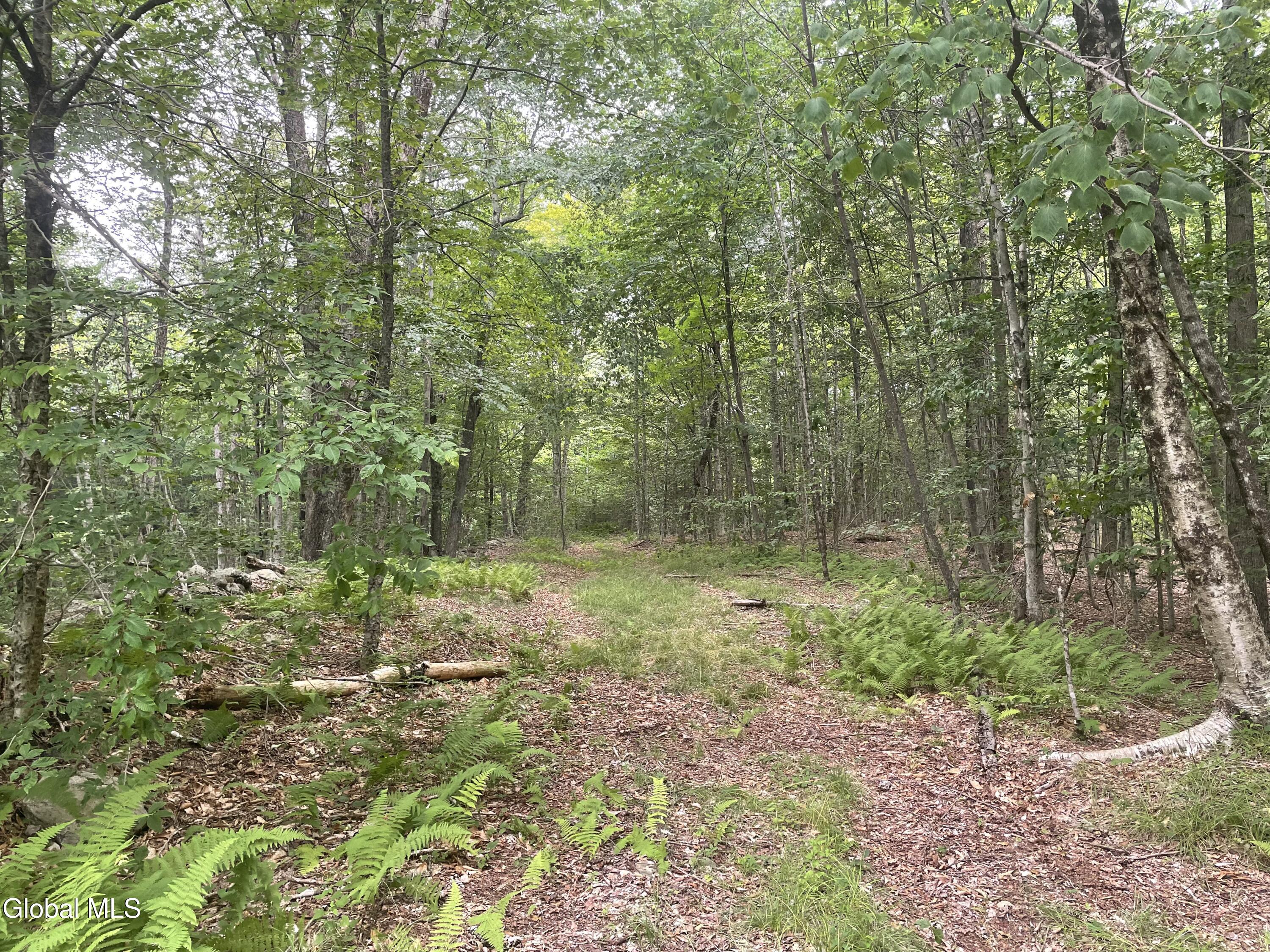Lot 21.14 Old Town Way Stephentown NY 12168