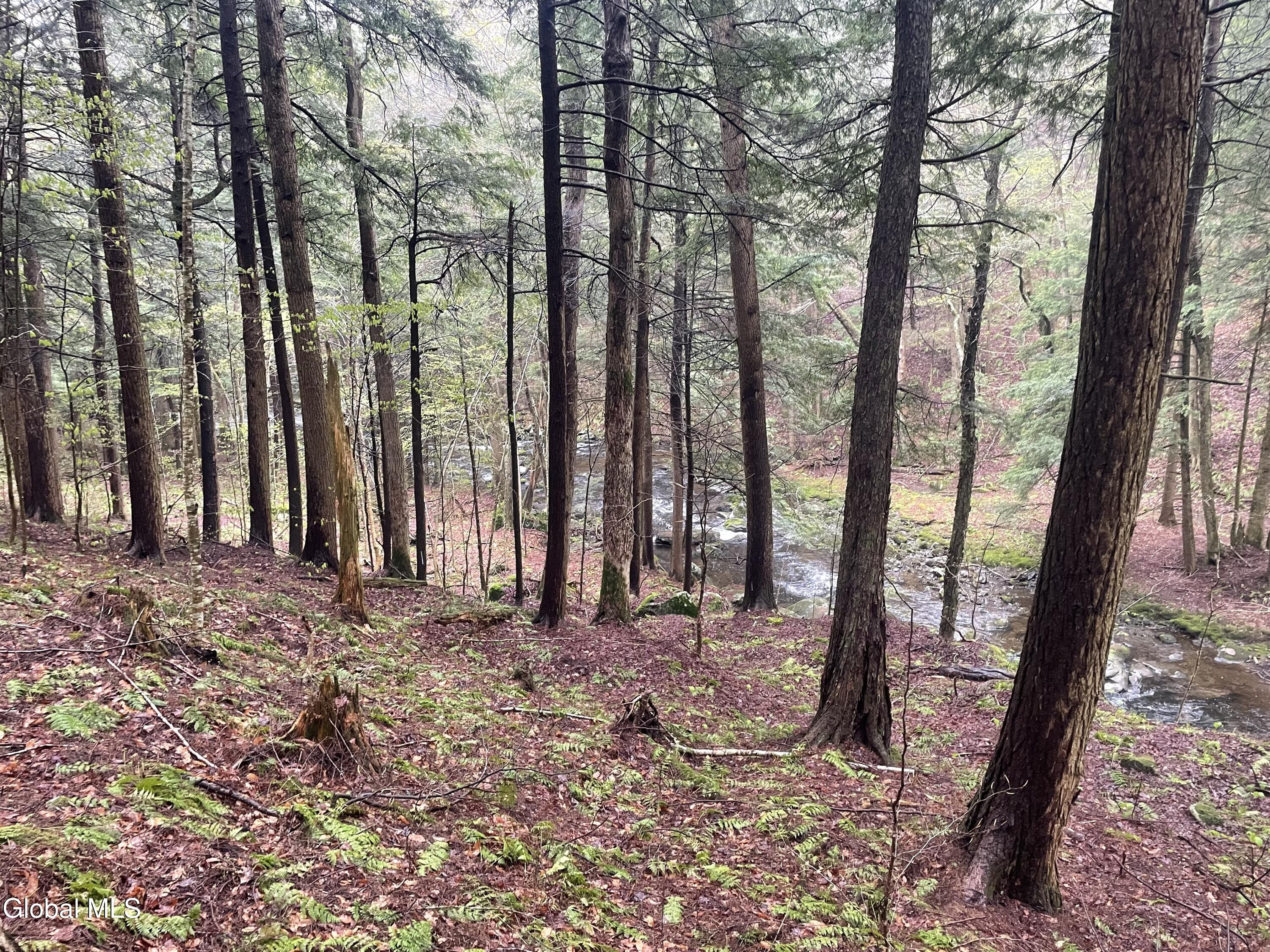Lot 21.14 Old Town Way Stephentown NY 12168