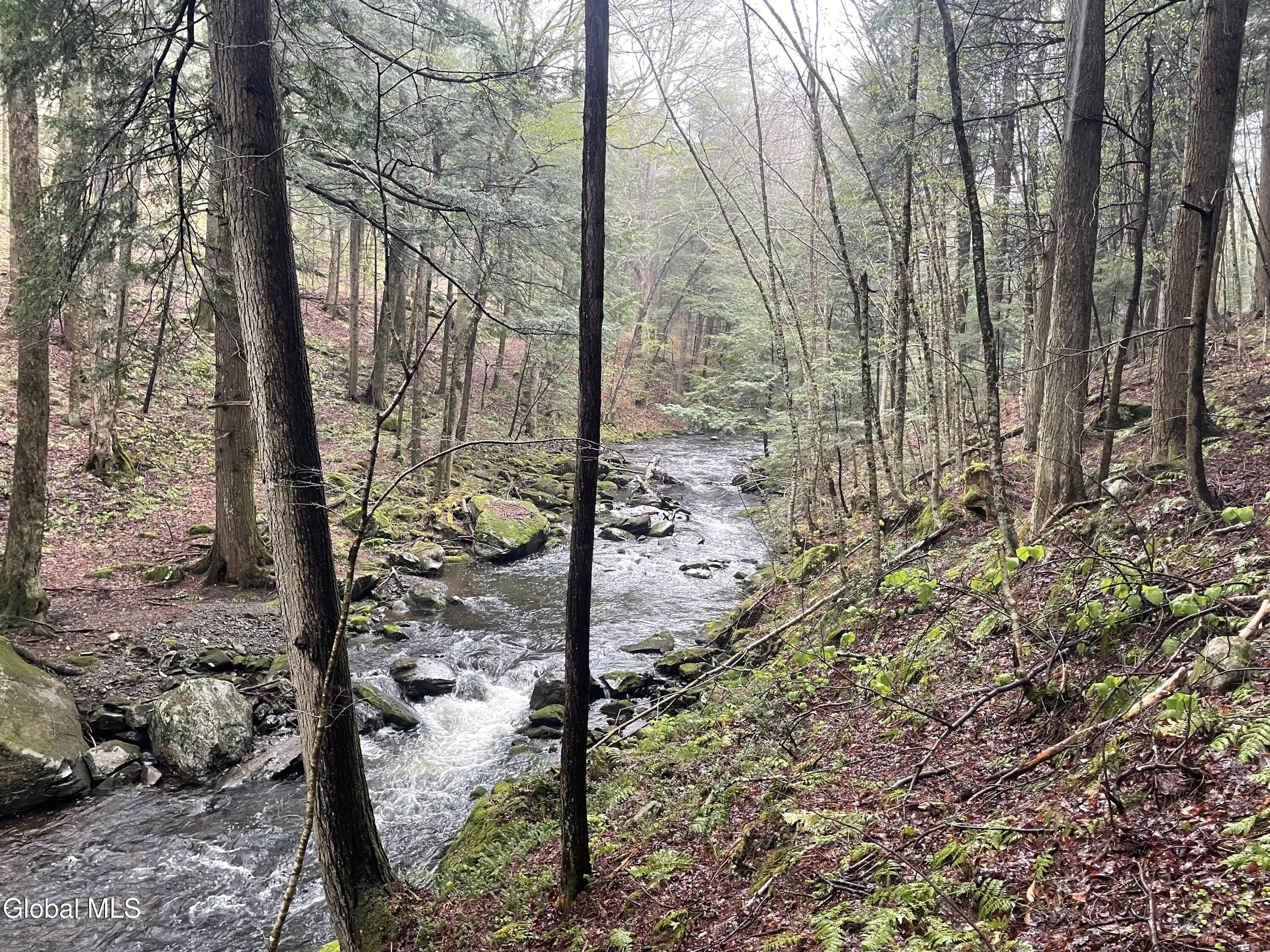 Lot 21.14 Old Town Way Stephentown NY 12168