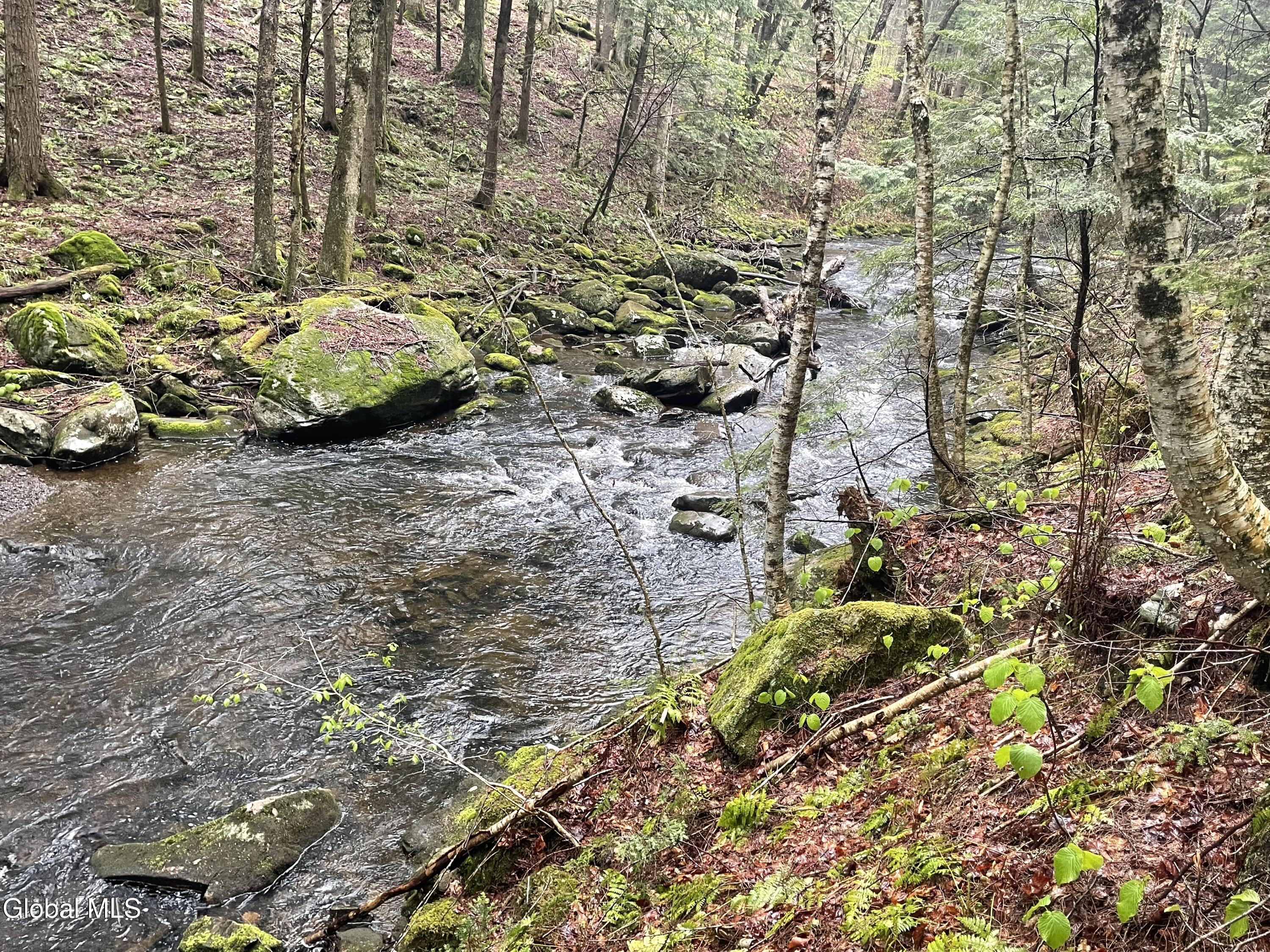 Lot 21.14 Old Town Way Stephentown NY 12168