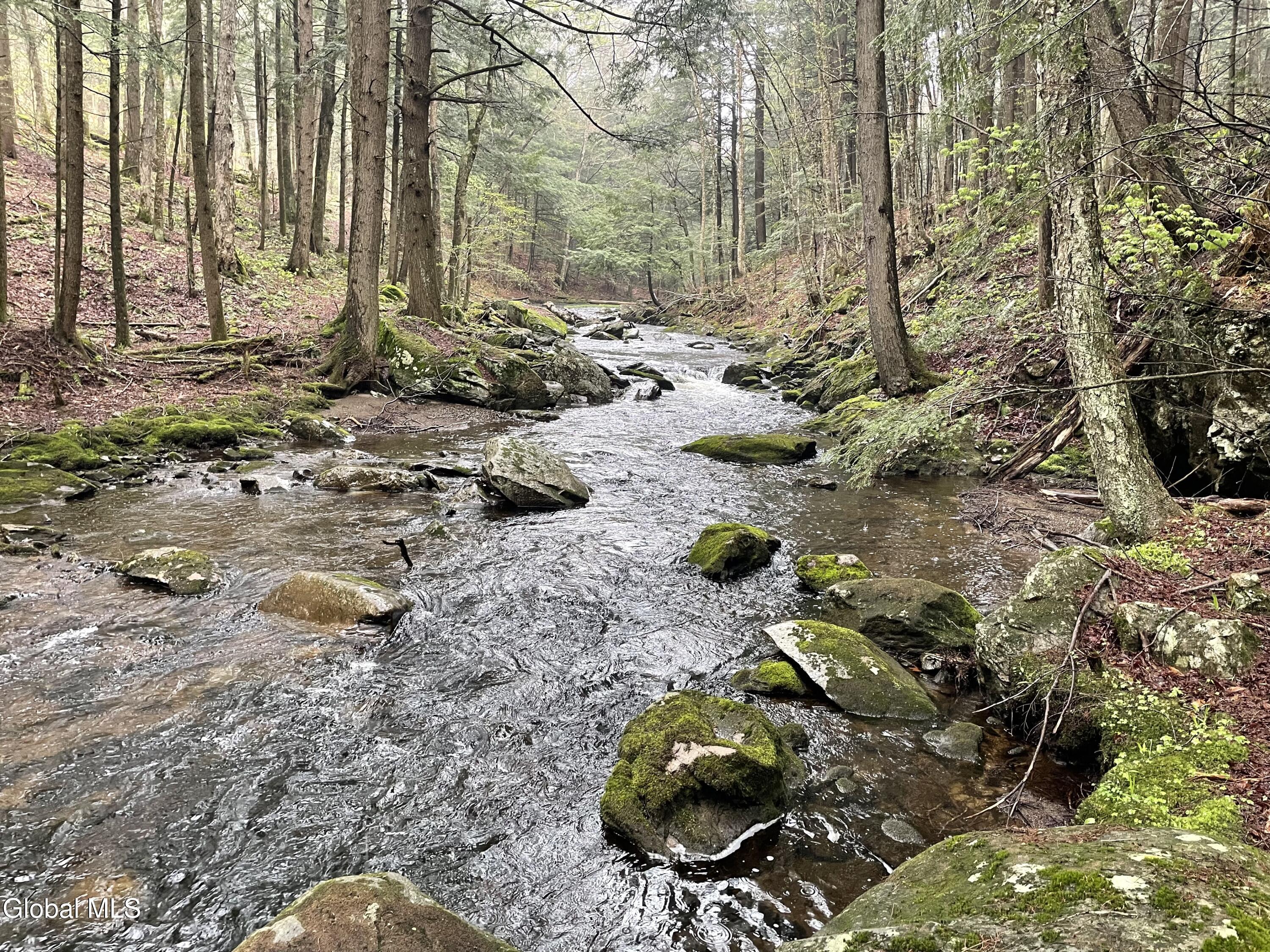 Lot 21.14 Old Town Way Stephentown NY 12168