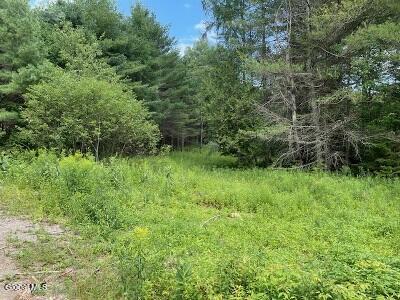 623 Johnson Pond Road North Hudson NY 12855