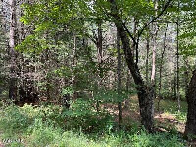 623 Johnson Pond Road North Hudson NY 12855