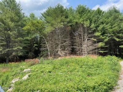 623 Johnson Pond Road North Hudson NY 12855