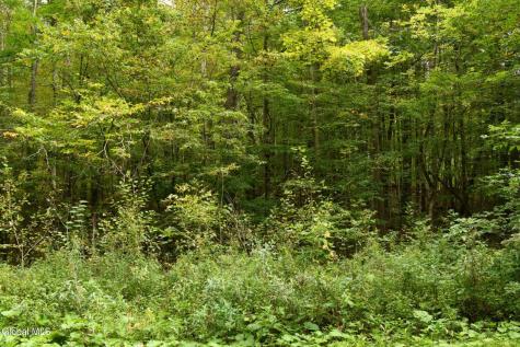 L4.7 Craig Lane East Berne NY 12059