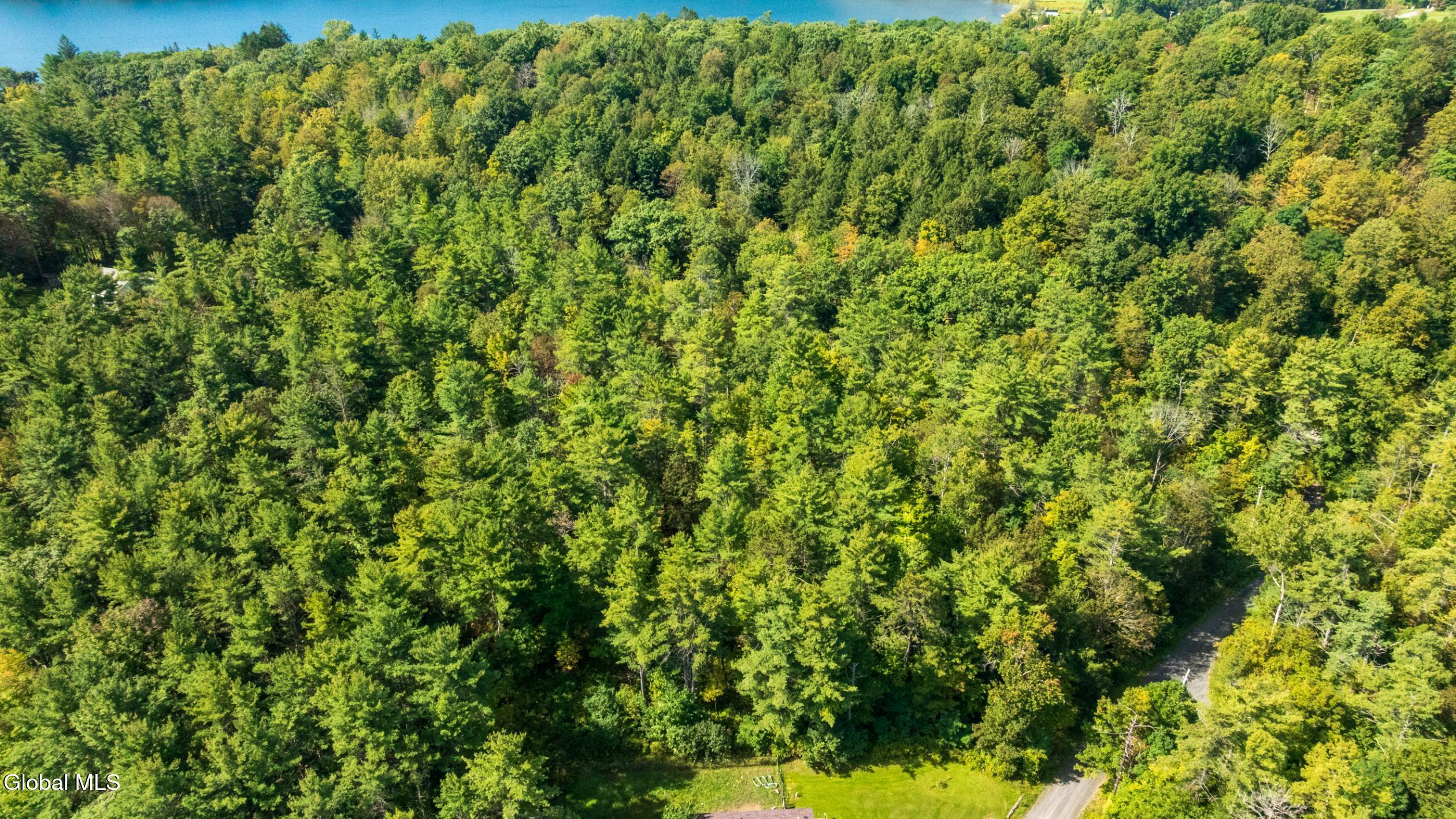 L4.7 Craig Lane East Berne NY 12059