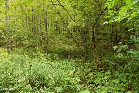 L4.7 Craig Lane East Berne NY 12059