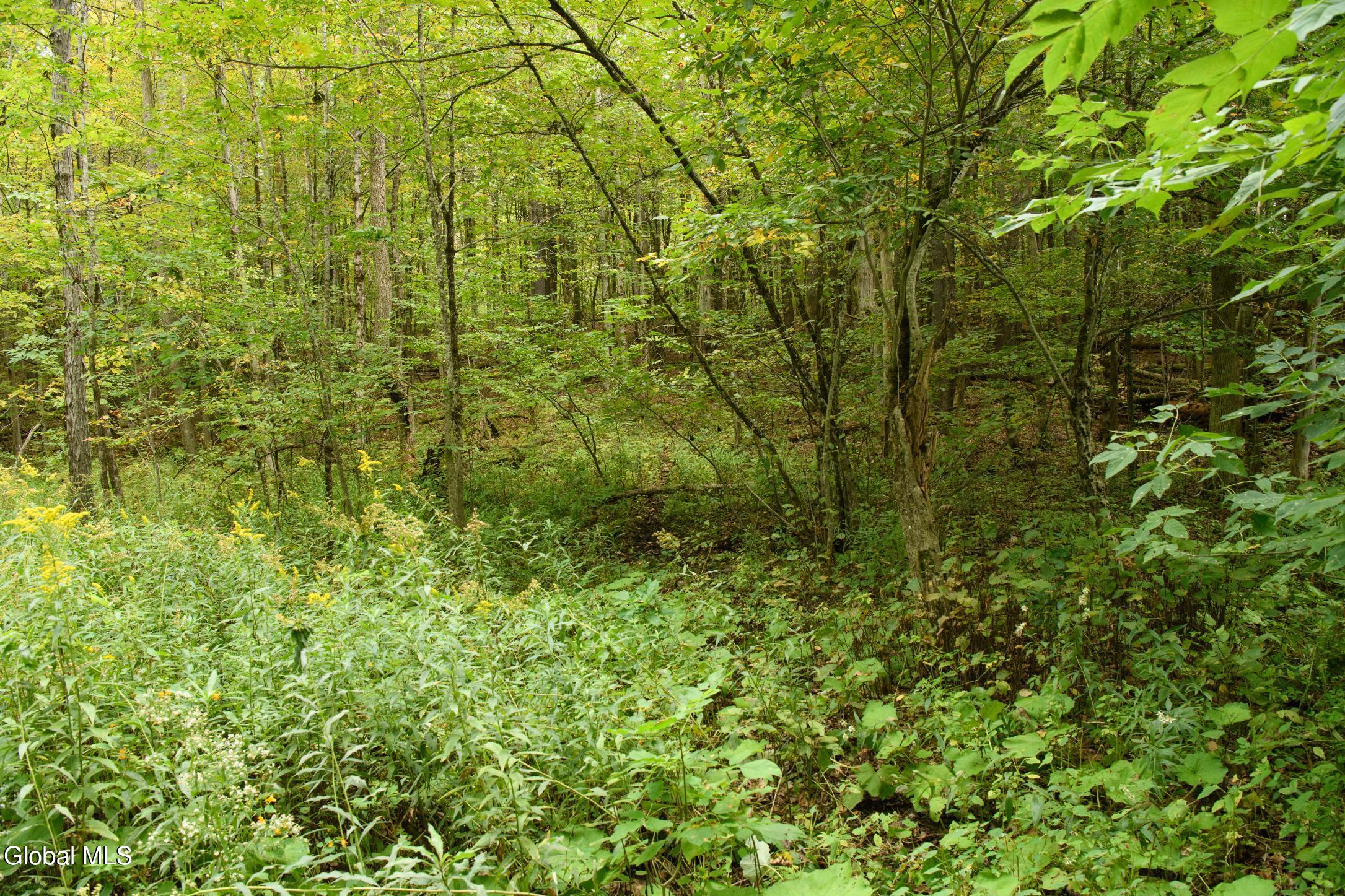 L4.7 Craig Lane East Berne NY 12059