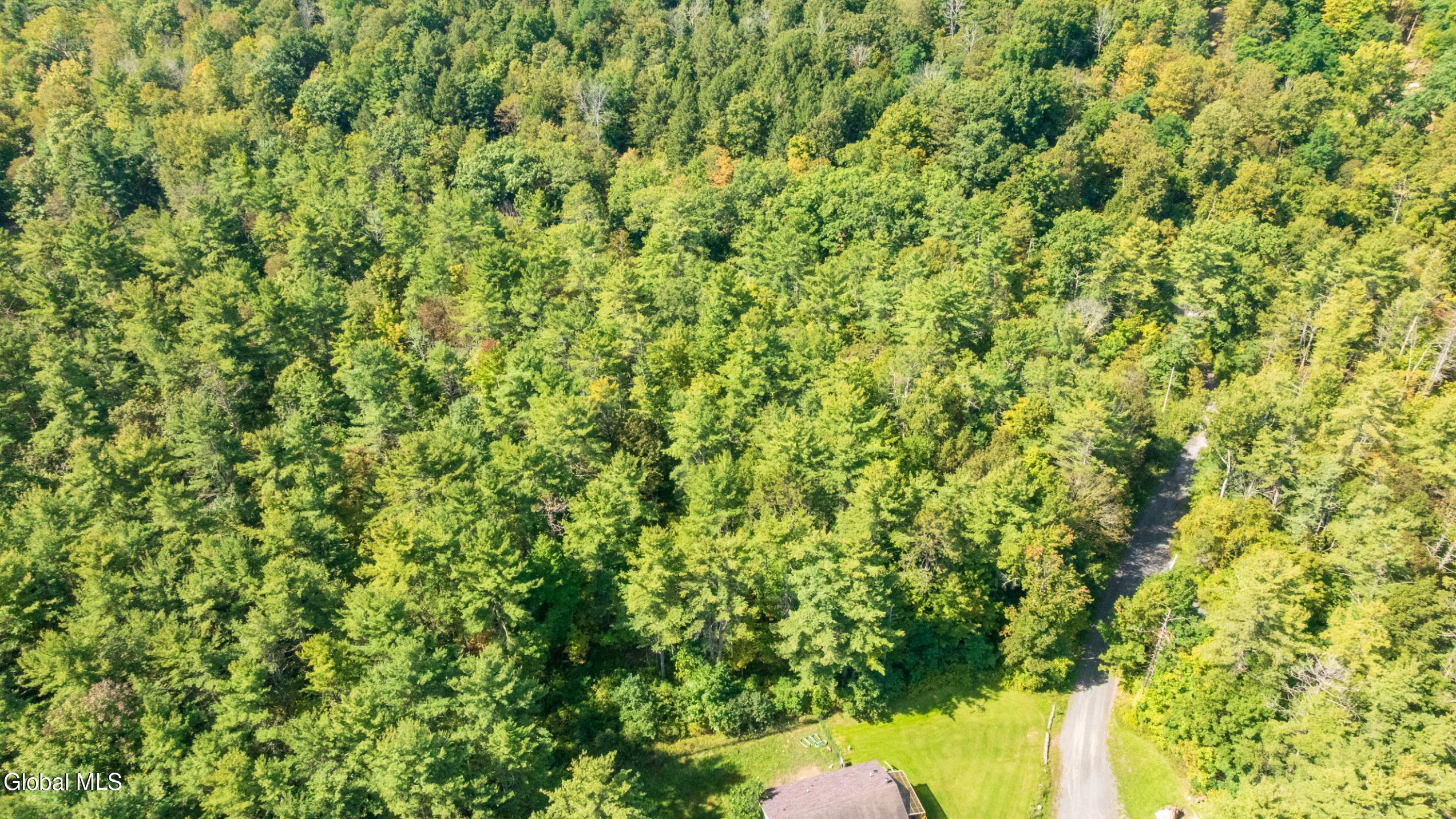 L4.7 Craig Lane East Berne NY 12059