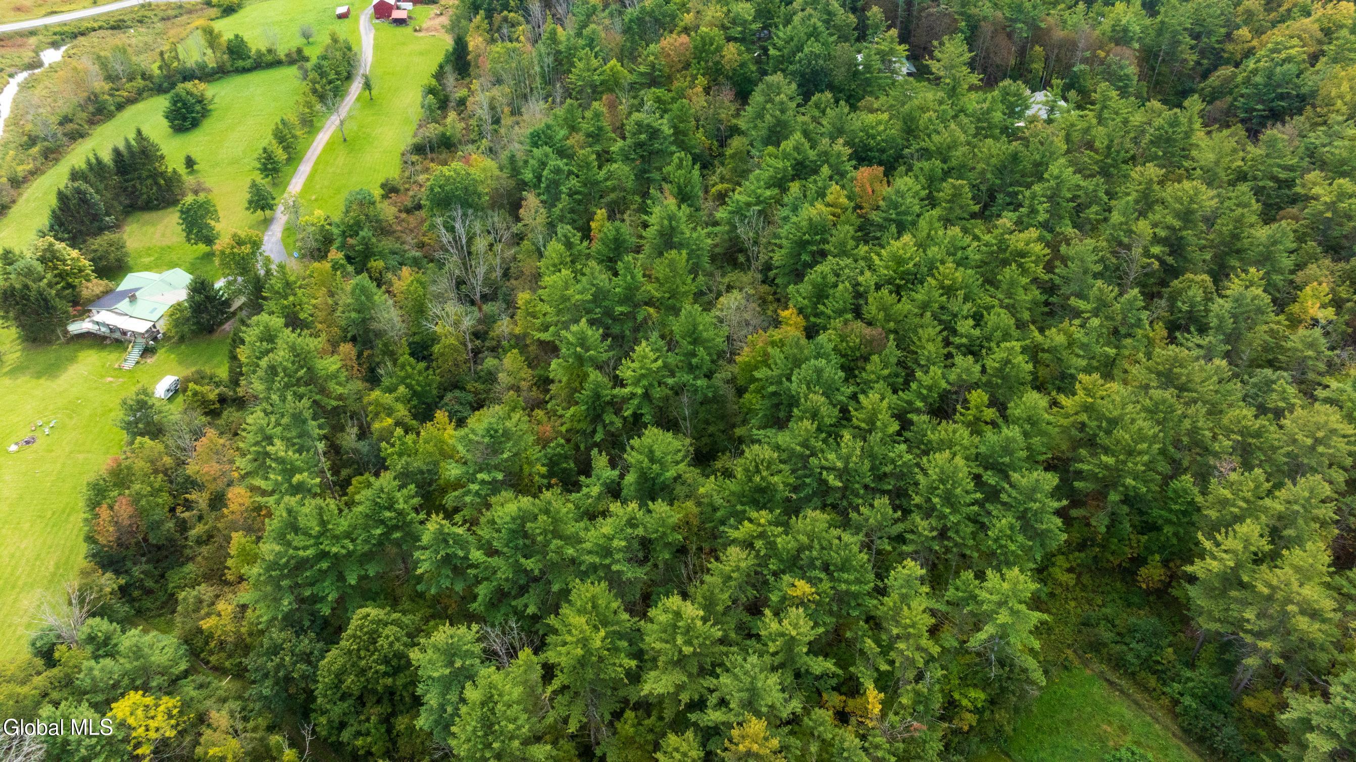 L4.7 Craig Lane East Berne NY 12059