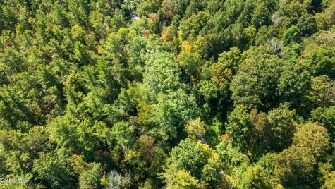 L4.7 Craig Lane East Berne NY 12059
