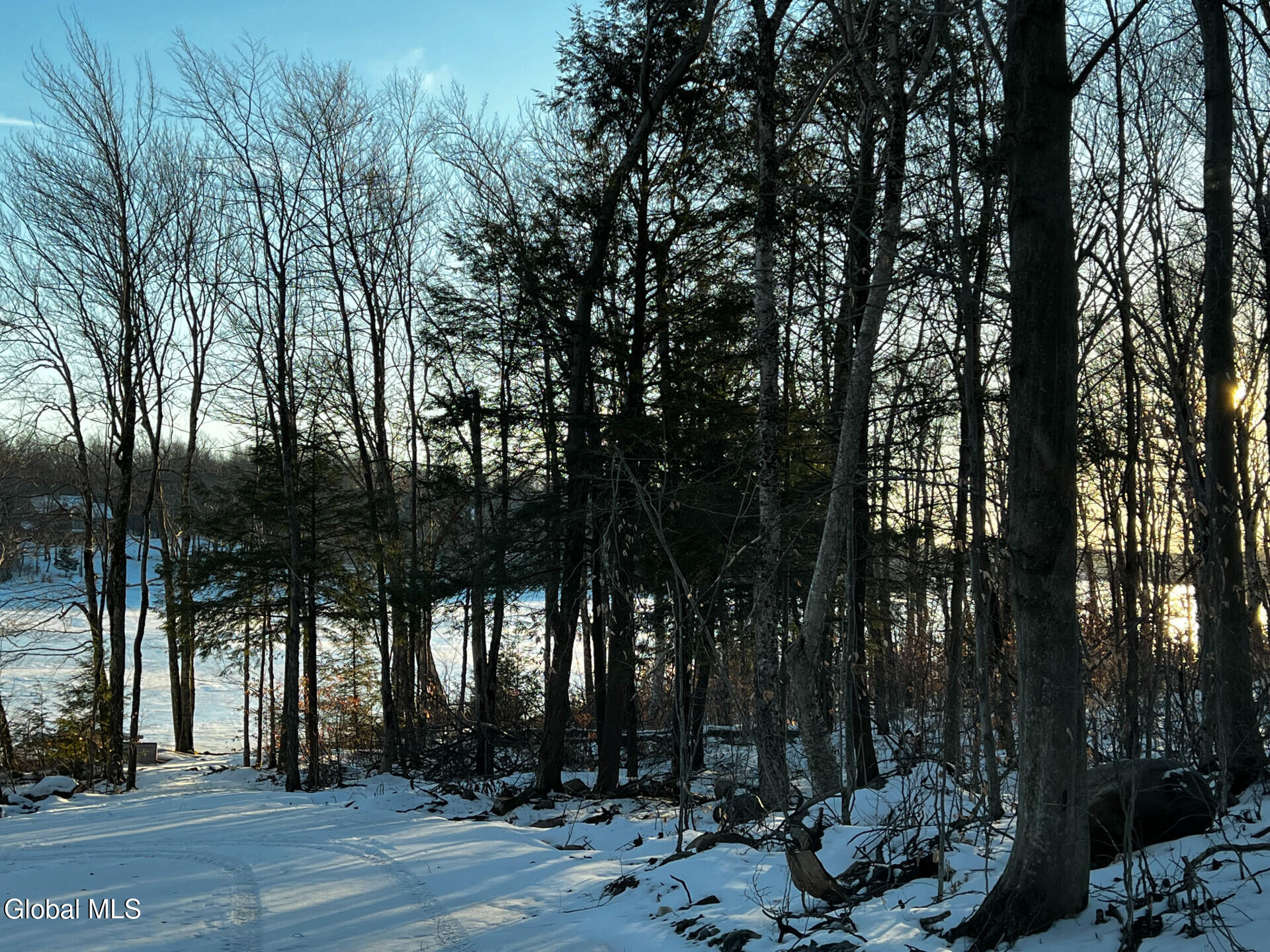 354 Pond View Petersburgh NY 12138