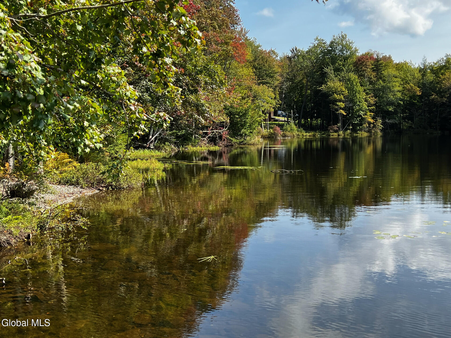 354 Pond View Petersburgh NY 12138