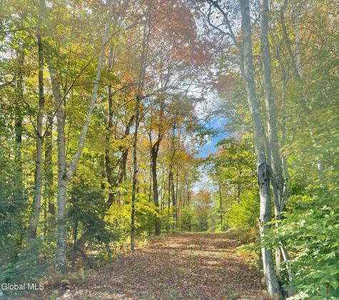 354 Pond View Petersburgh NY 12138