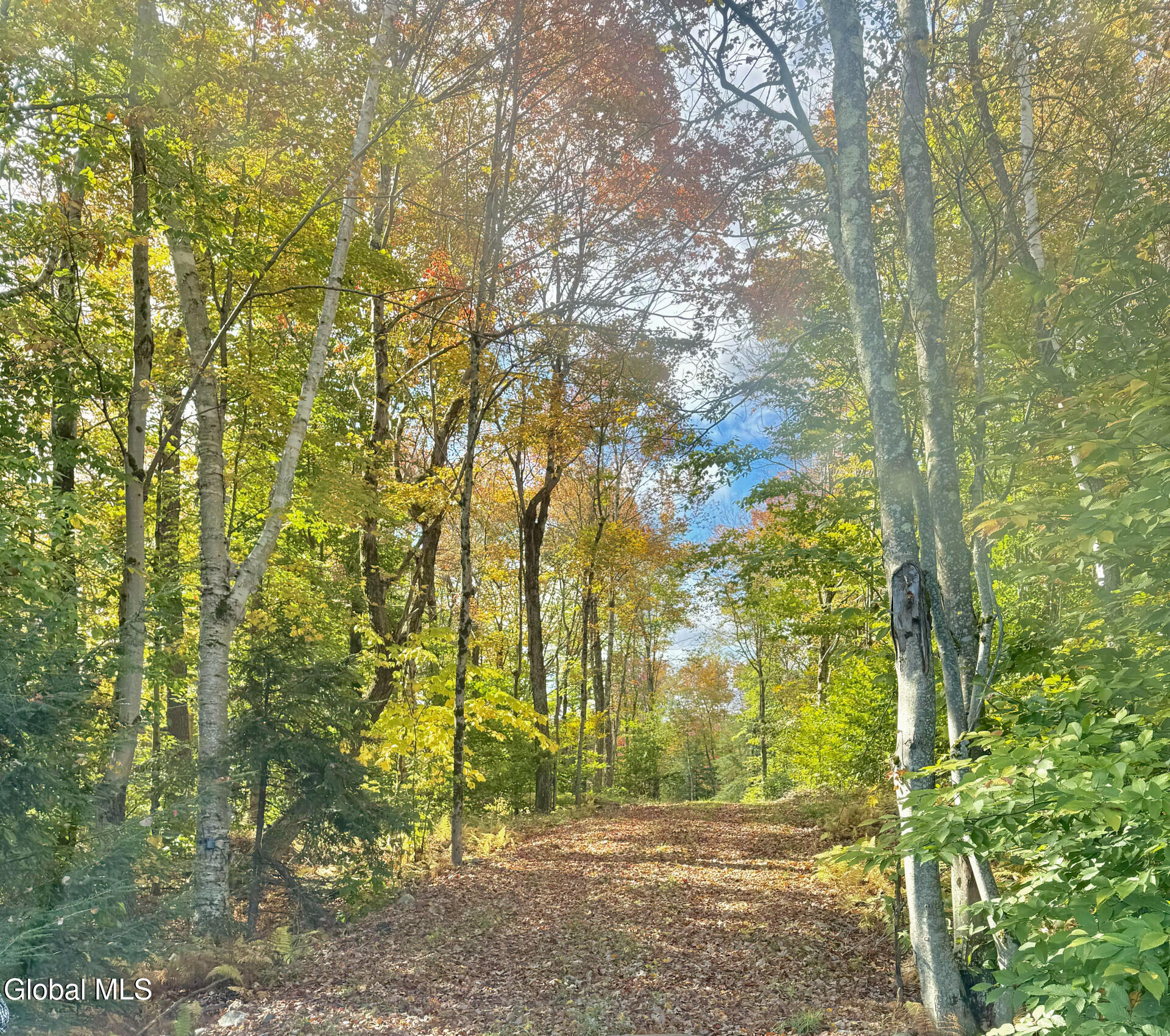 354 Pond View Petersburgh NY 12138