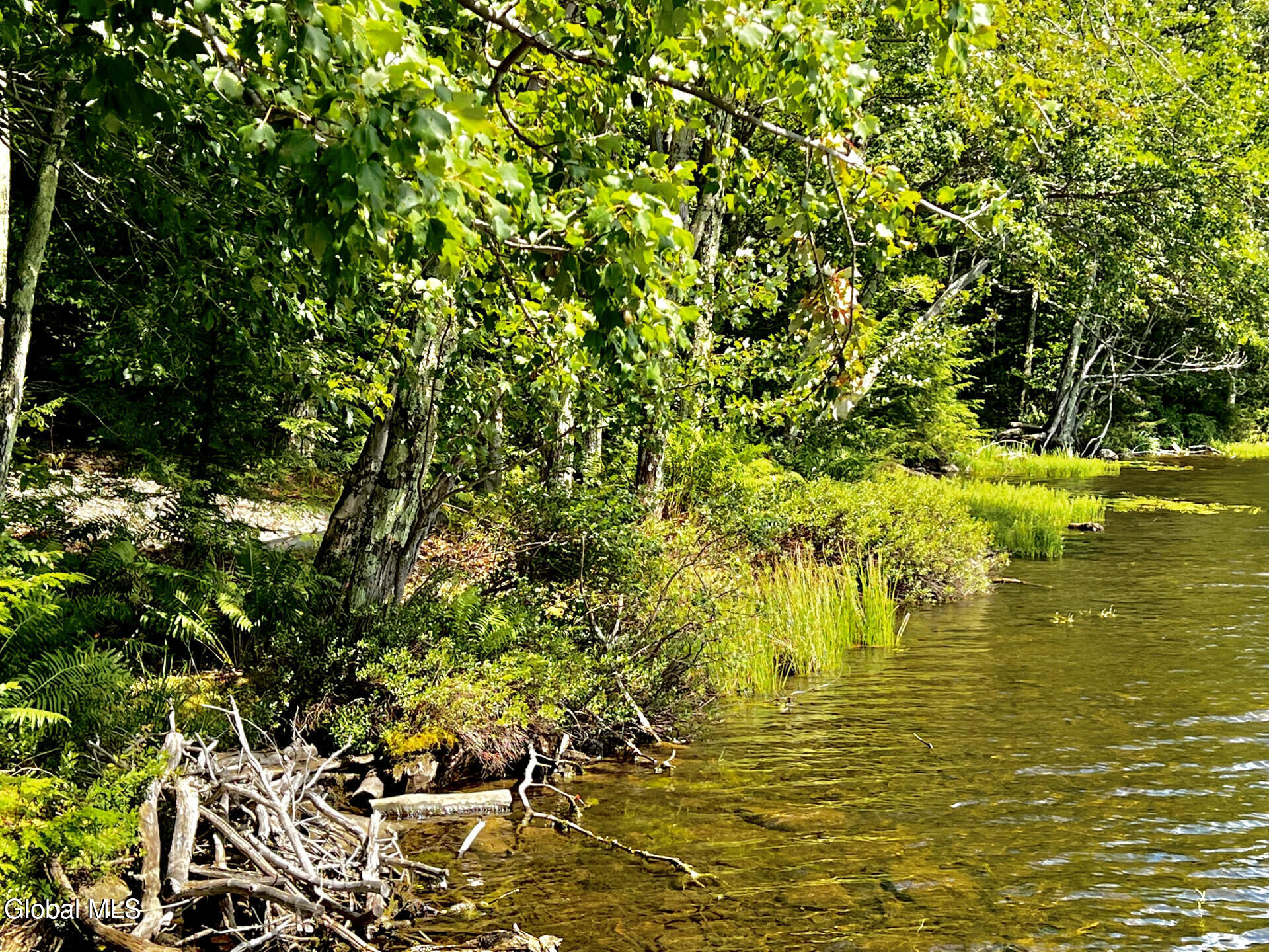 354 Pond View Petersburgh NY 12138