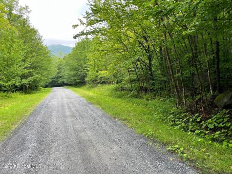 L93 Ruby Mountain View Drive North River NY 12856