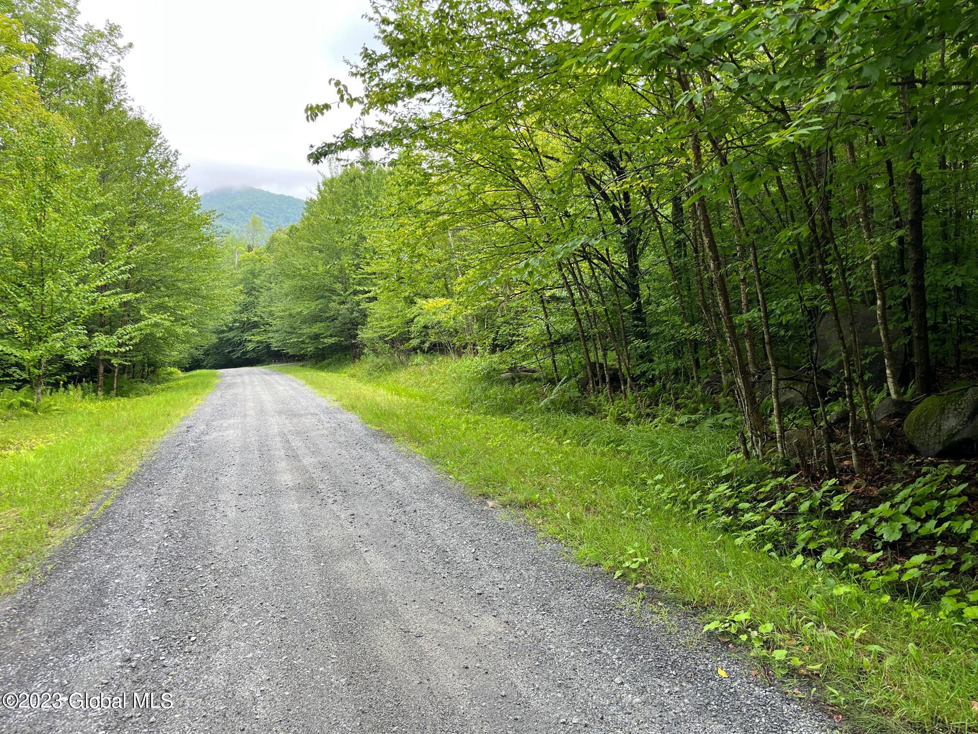 L93 Ruby Mountain View Drive North River NY 12856