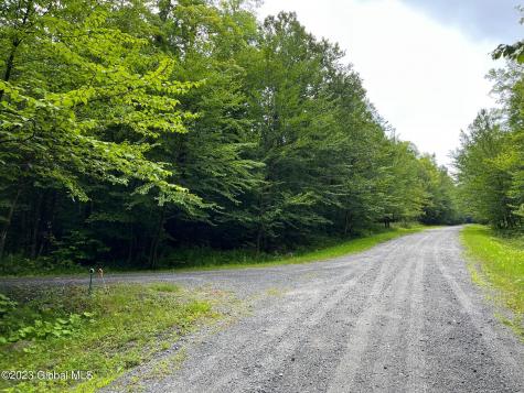 L93 Ruby Mountain View Drive North River NY 12856