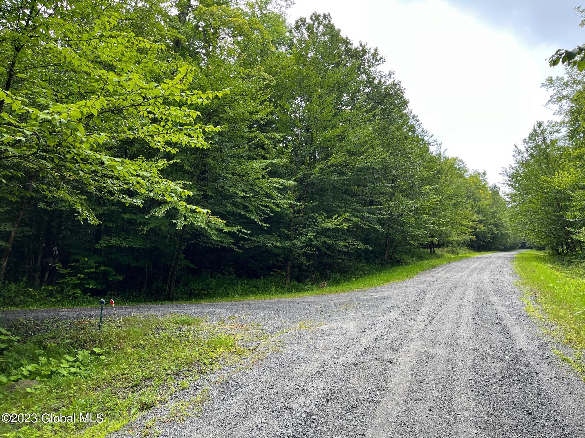 L93 Ruby Mountain View Drive North River NY 12856