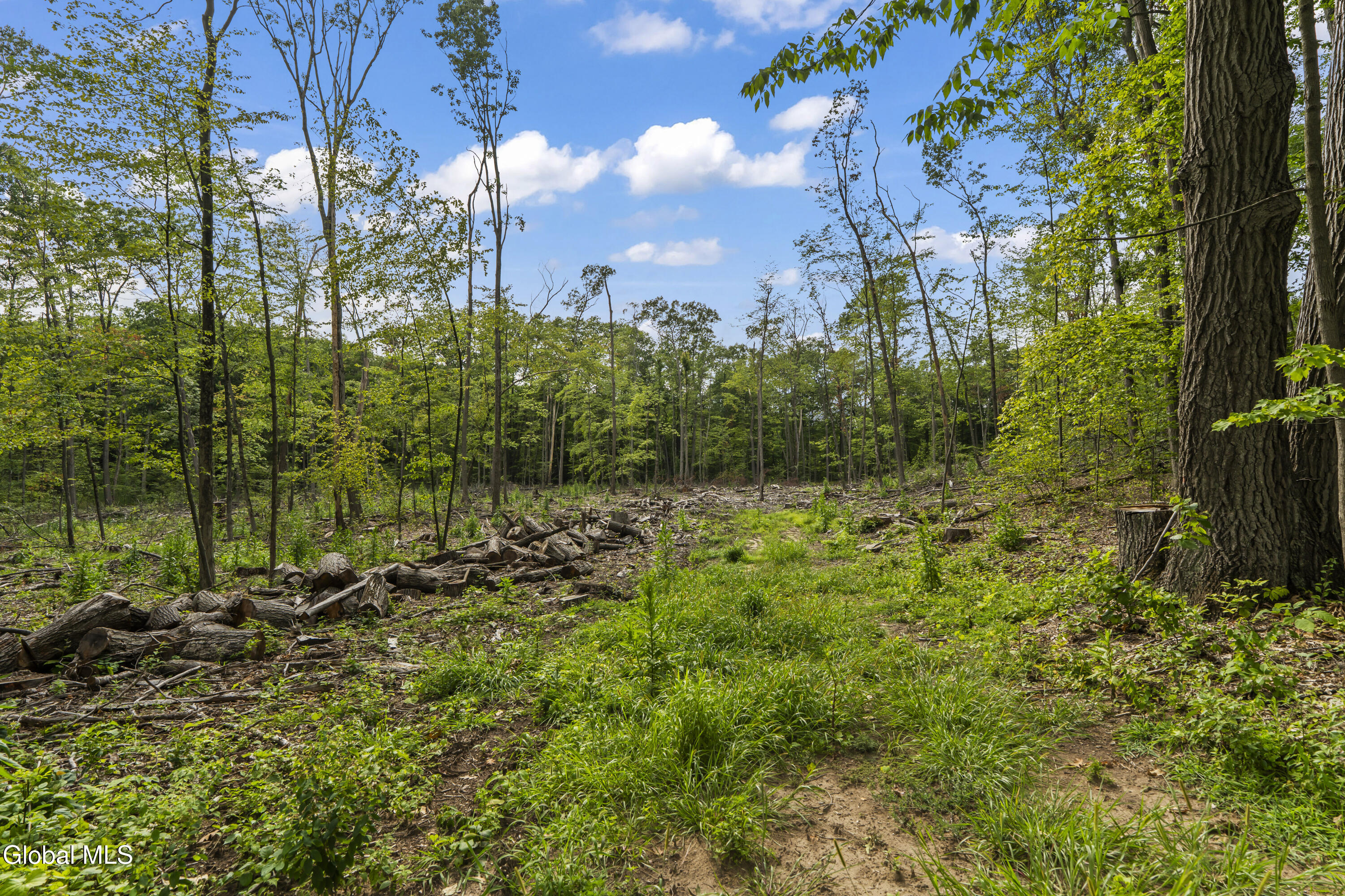 226-232 Woodin Road Clifton Park NY 12065