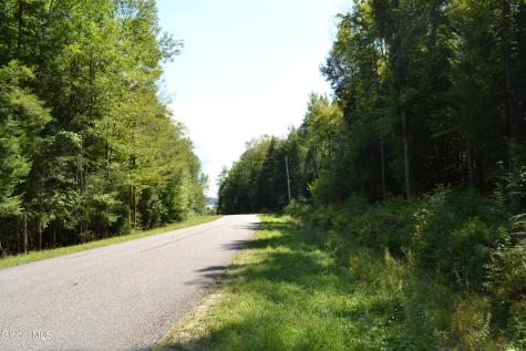 9 Diamond Ridge Road Bolton Landing NY 12814