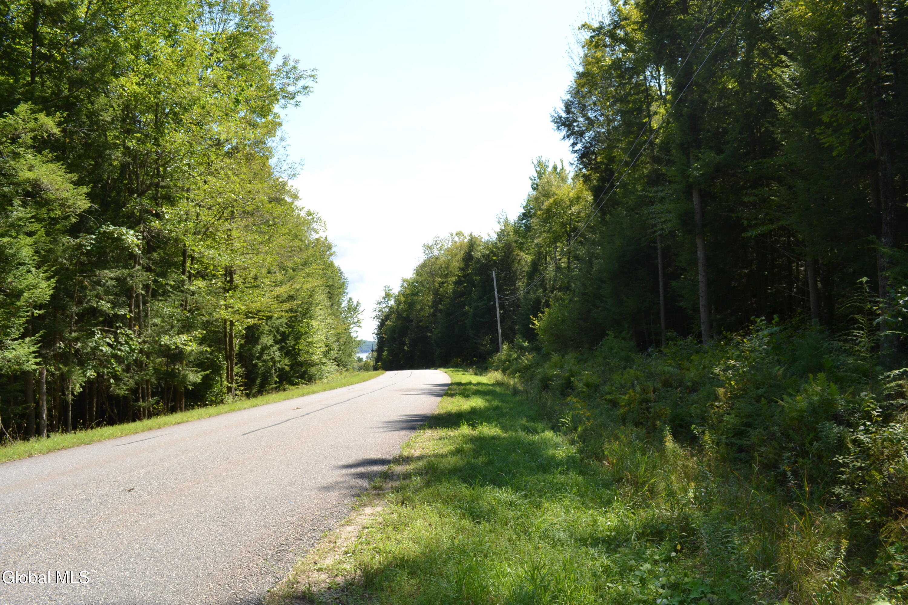 9 Diamond Ridge Road Bolton Landing NY 12814