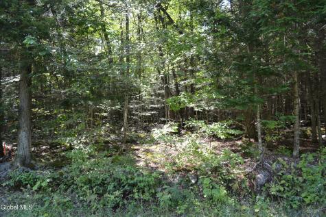 9 Diamond Ridge Road Bolton Landing NY 12814