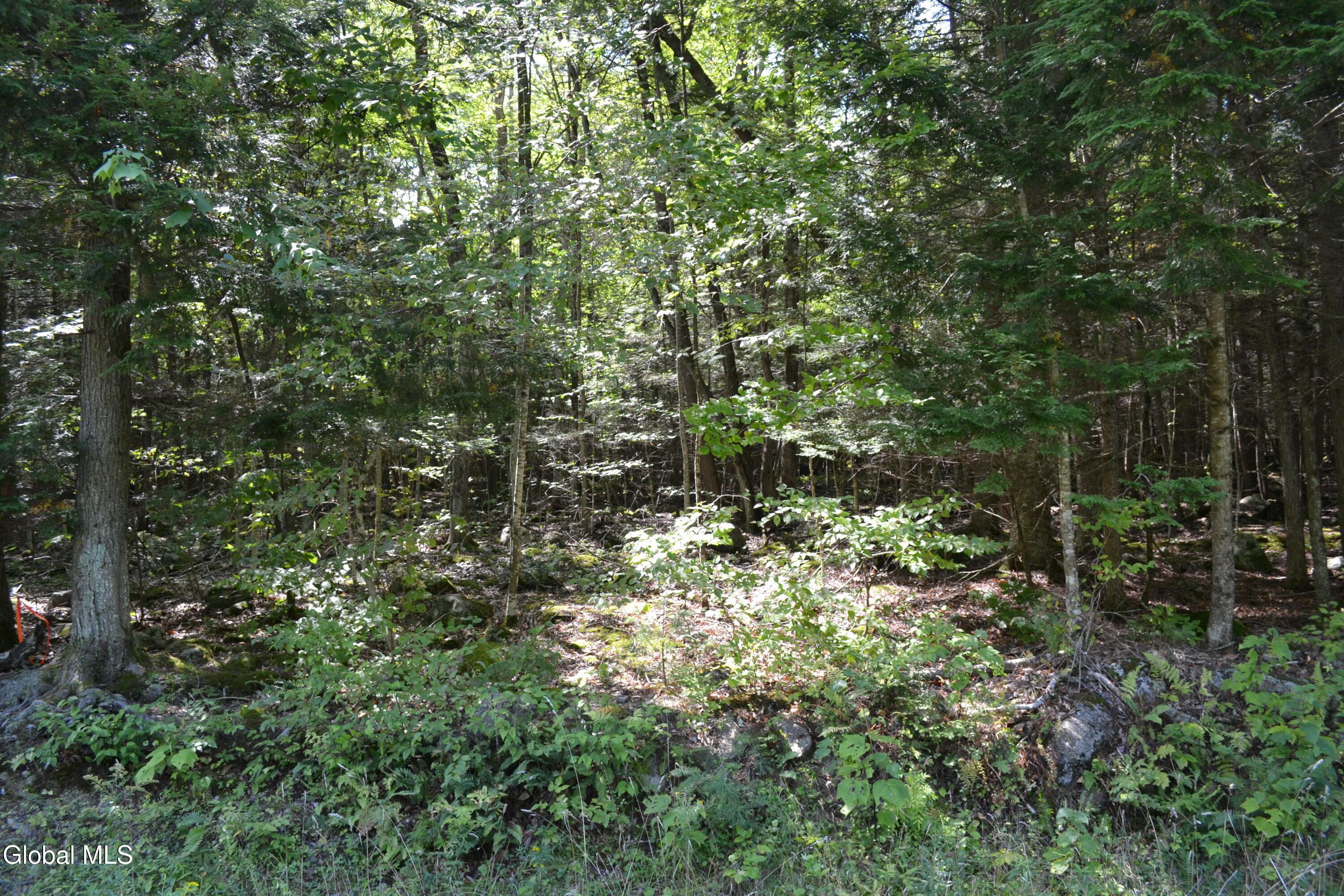 9 Diamond Ridge Road Bolton Landing NY 12814
