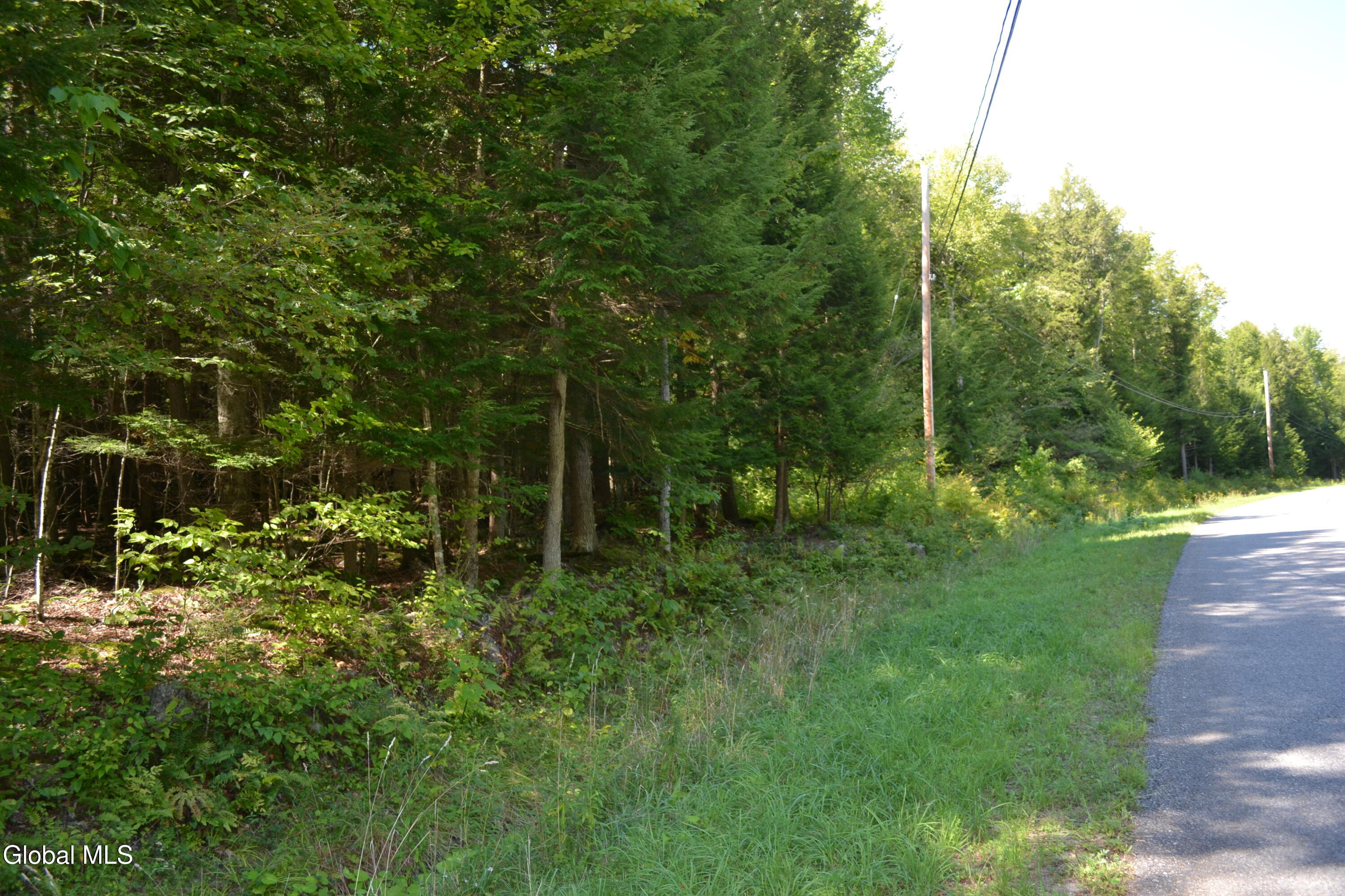 9 Diamond Ridge Road Bolton Landing NY 12814