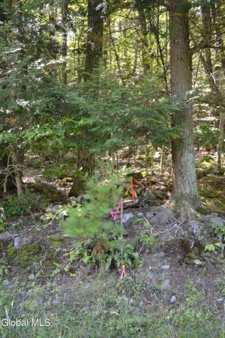 9 Diamond Ridge Road Bolton Landing NY 12814