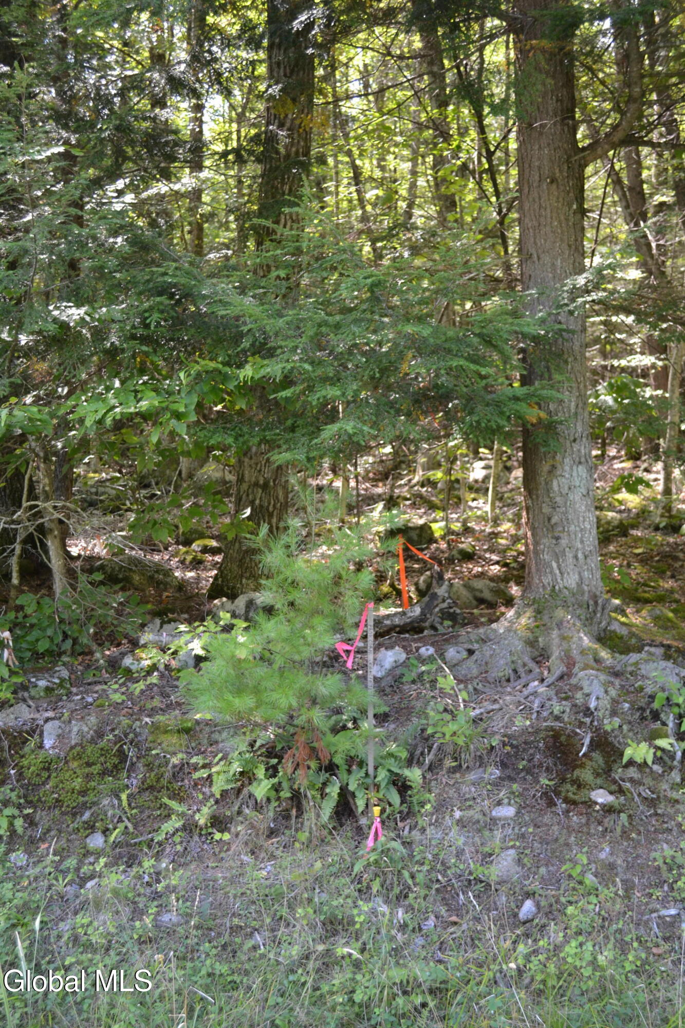 9 Diamond Ridge Road Bolton Landing NY 12814