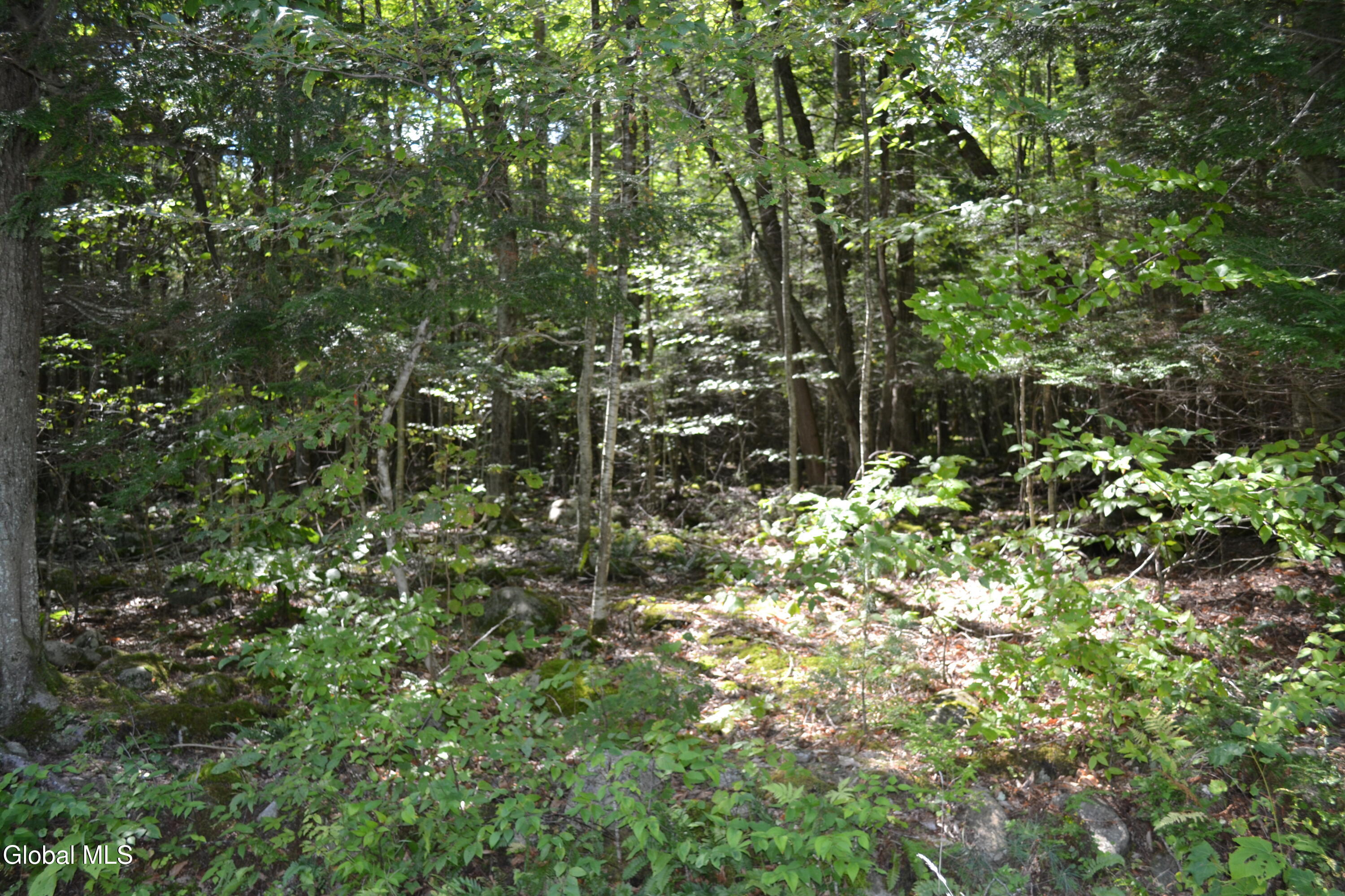 9 Diamond Ridge Road Bolton Landing NY 12814