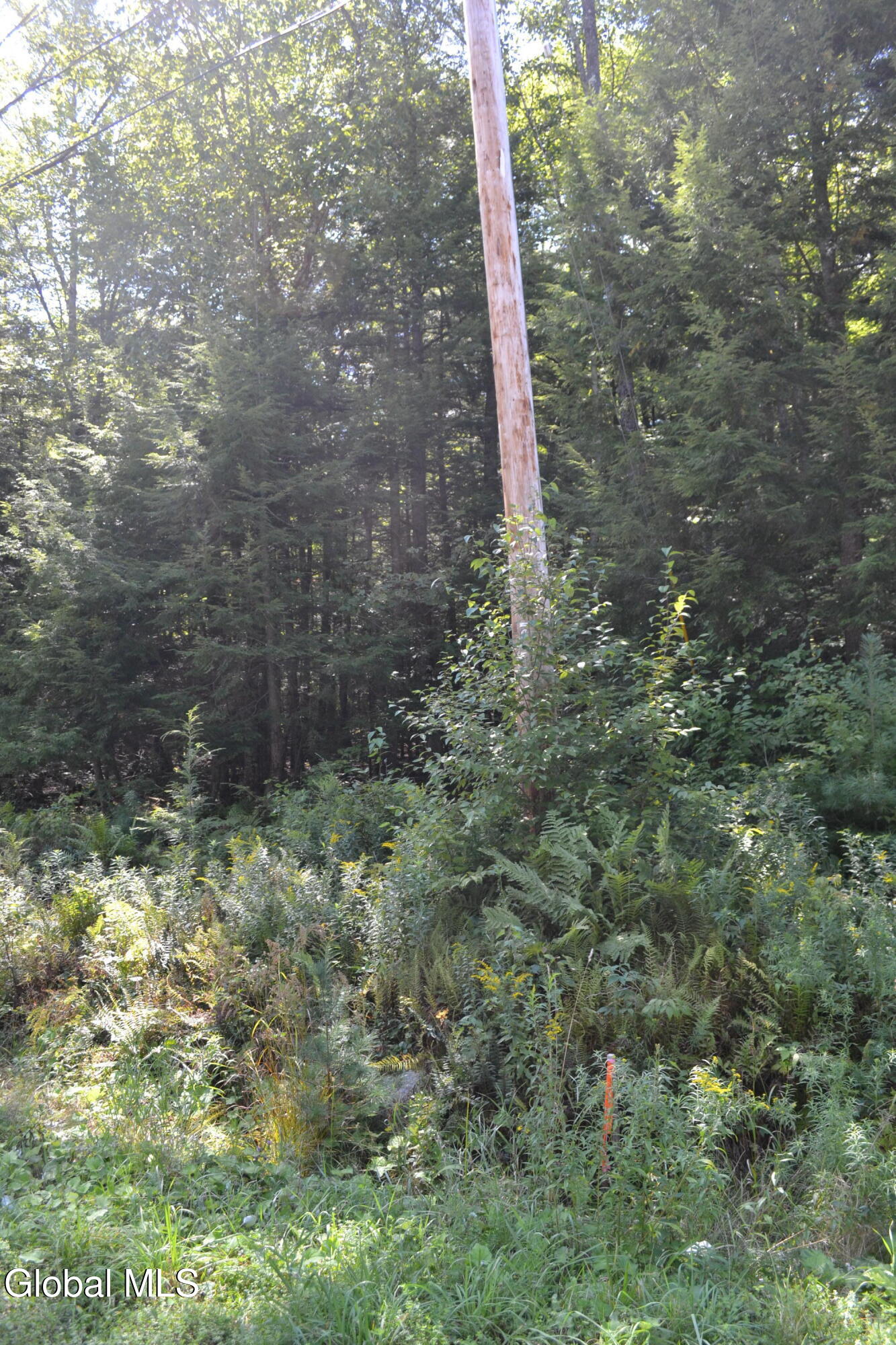 9 Diamond Ridge Road Bolton Landing NY 12814