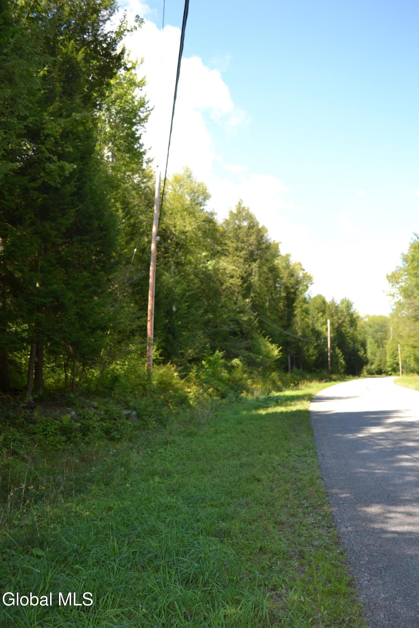 9 Diamond Ridge Road Bolton Landing NY 12814