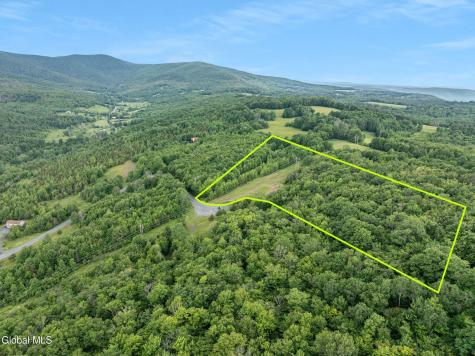 L36 Overlook Drive Prattsville NY 12452