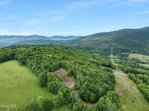 L36 Overlook Drive Prattsville NY 12452