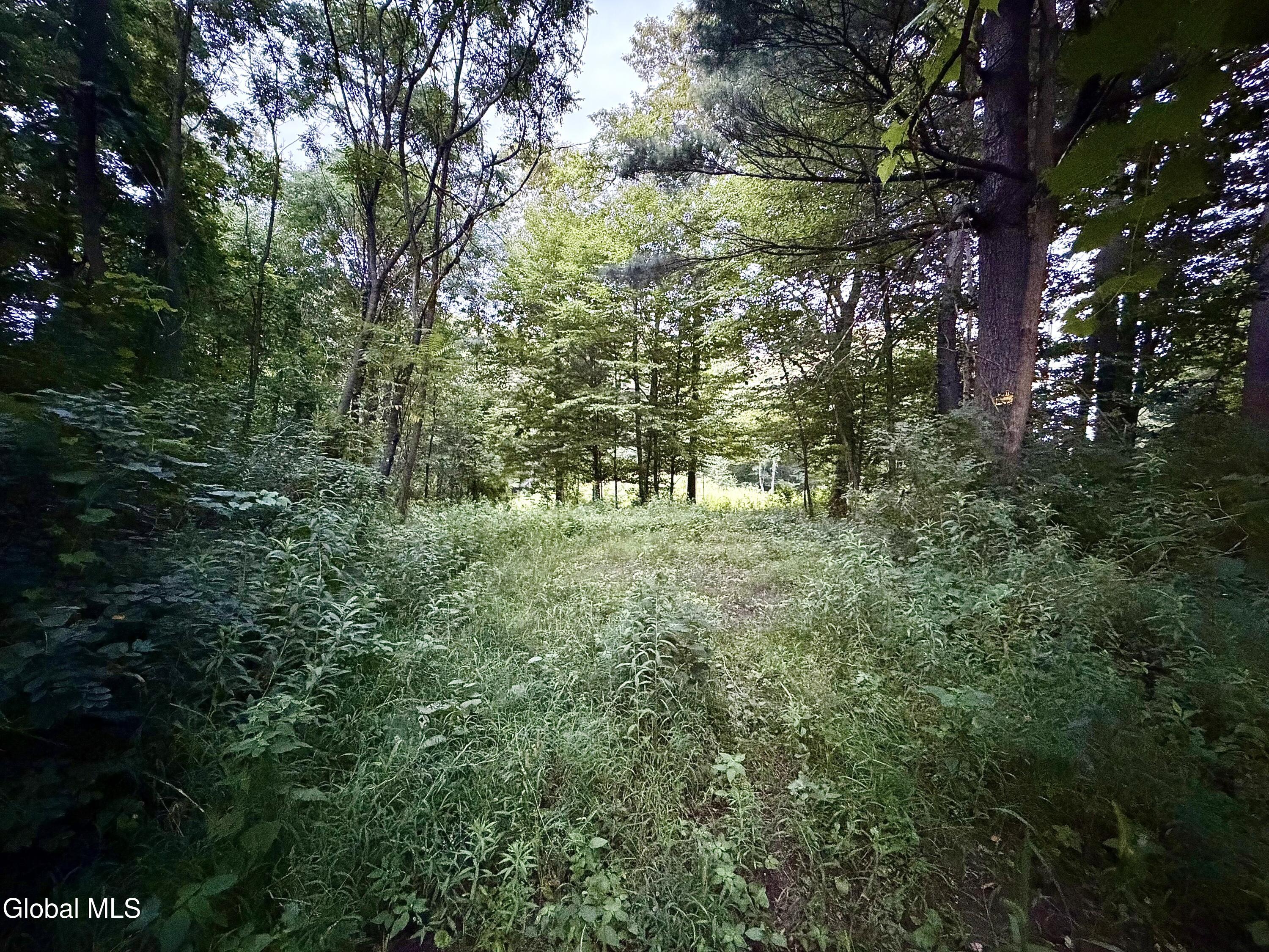 2-38.11 Spring Avenue Gloversville NY 12078