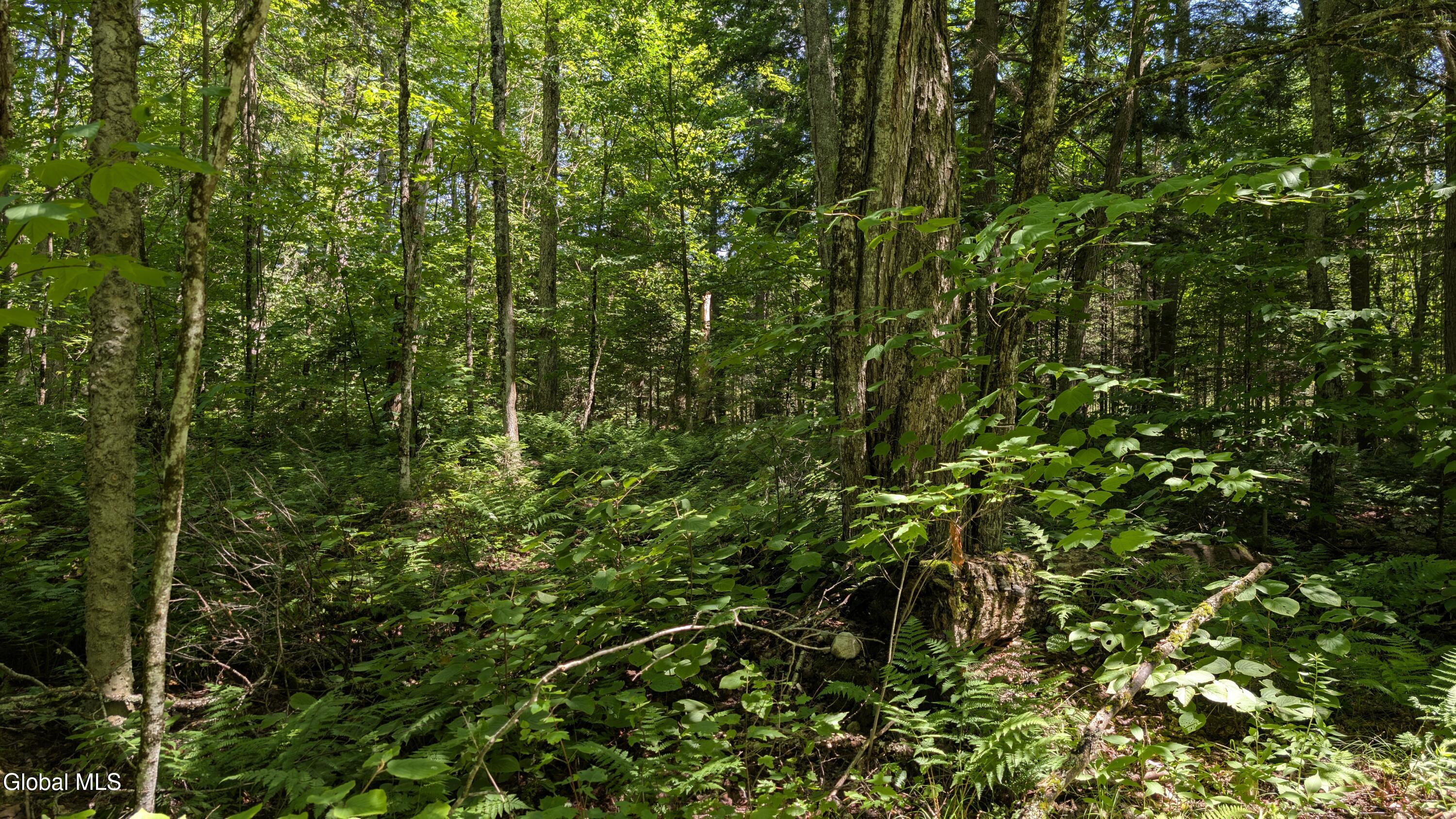 10279 Adirondack Trail Malone NY 12953