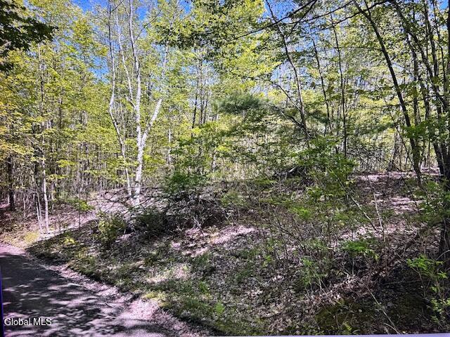 L28 Koster Way Salem NY 12865