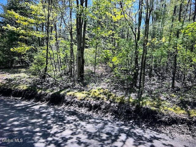 L28 Koster Way Salem NY 12865