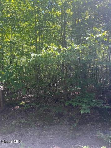 L28 Koster Way Salem NY 12865