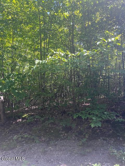 L28 Koster Way Salem NY 12865