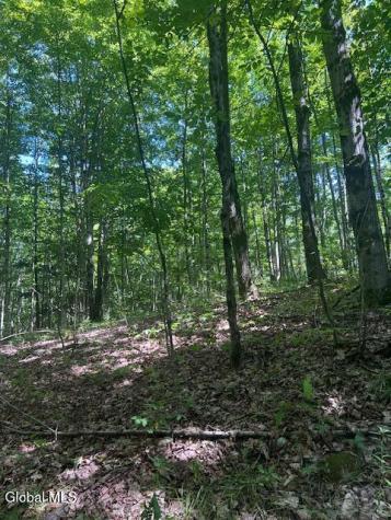 L28 Koster Way Salem NY 12865