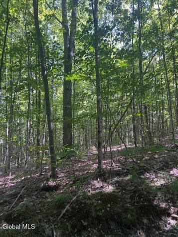 L28 Koster Way Salem NY 12865
