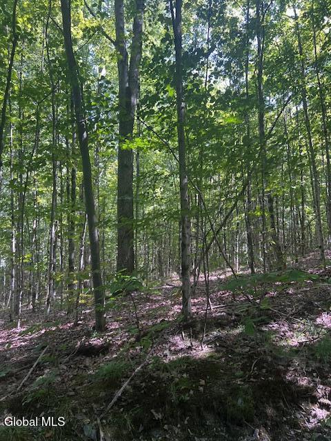 L28 Koster Way Salem NY 12865
