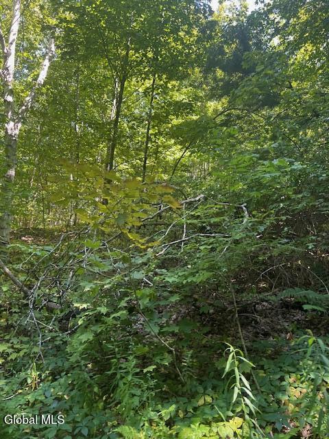 L28 Koster Way Salem NY 12865